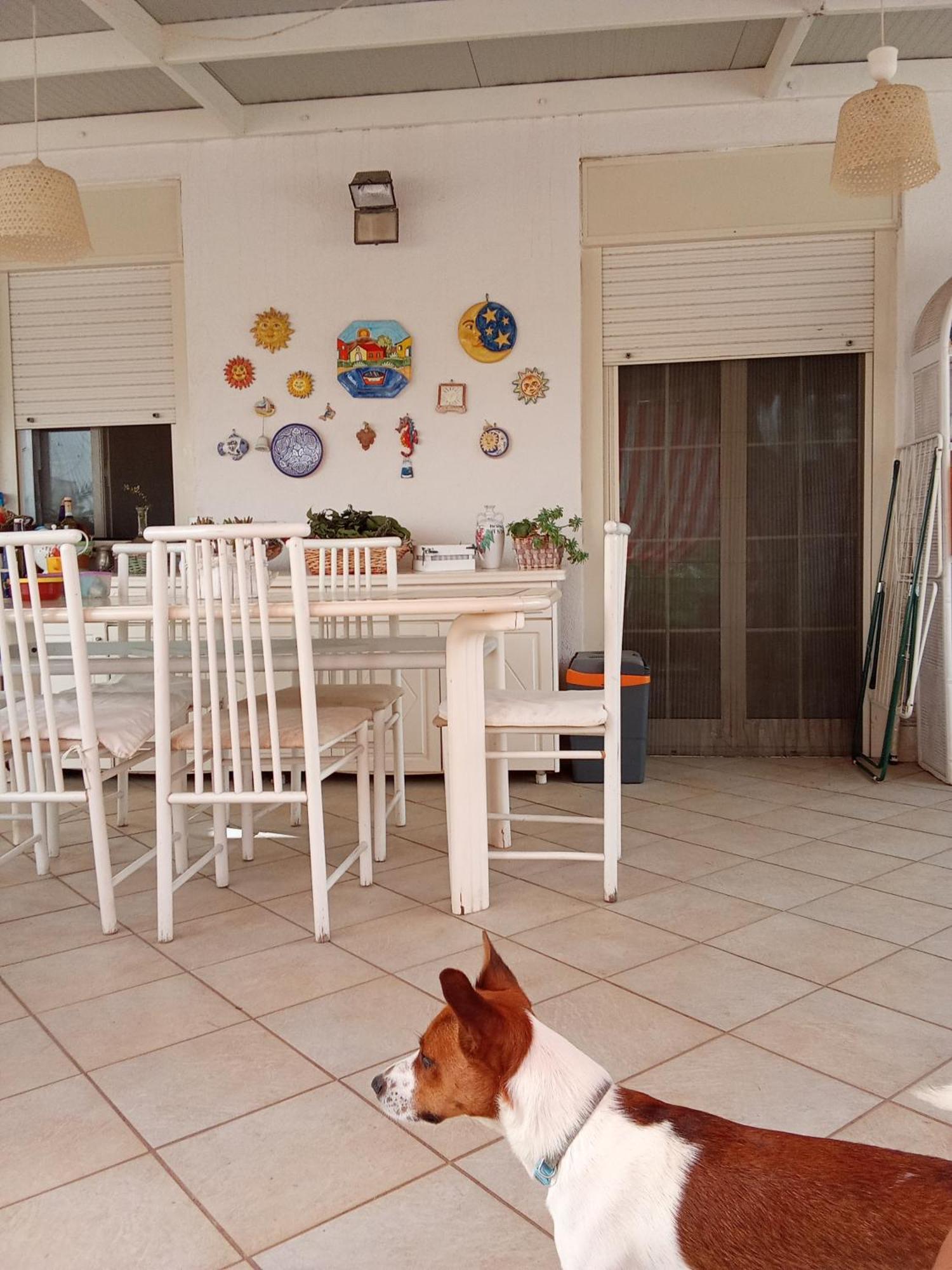 Appartamento Terrazza Mare Mondello Palermo Esterno foto